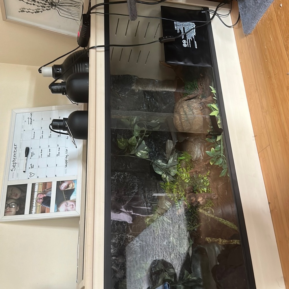 animal cage for sale